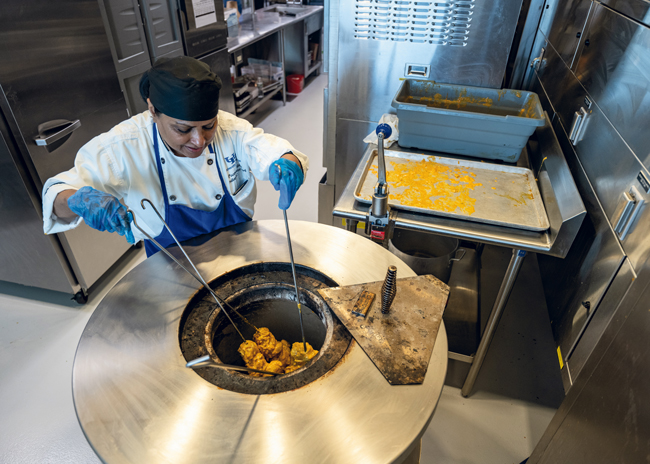 CU SUNY Buffalo tandoor 059 OneWorldCafe onionstudio